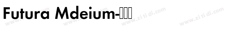 Futura Mdeium字体转换